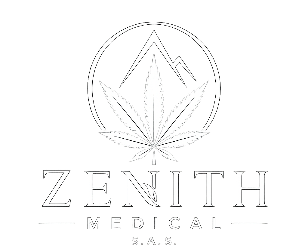 zenithcolombia.com